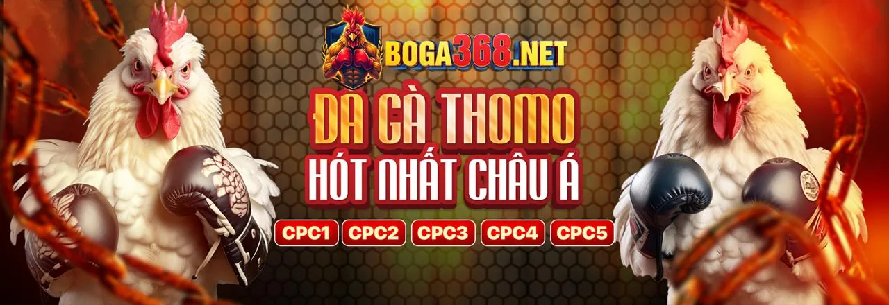 Kiểm toán công bằng và chứng nhận RNG của conga6789