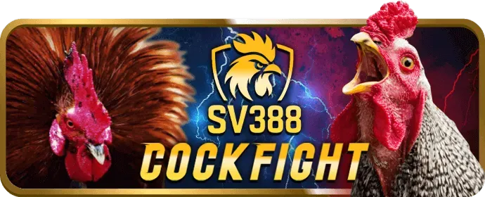 Hoàn trả cược thể thao conga6789