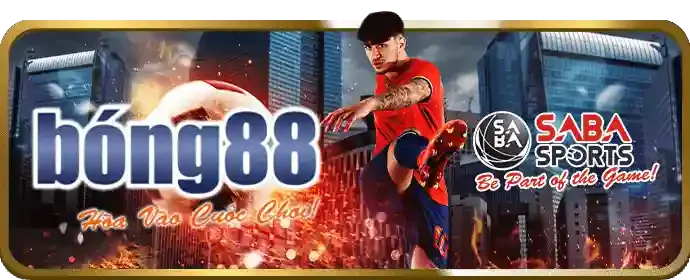 Tiền thưởng chào mừng conga6789